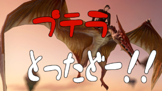 Thumbnail of post image 030